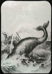 Image: Harpooning Whale, Engraving
